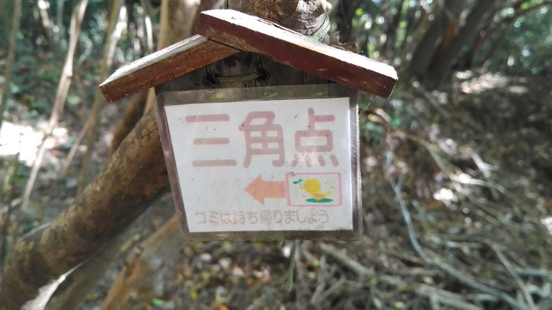 帰りに寄りますよ
