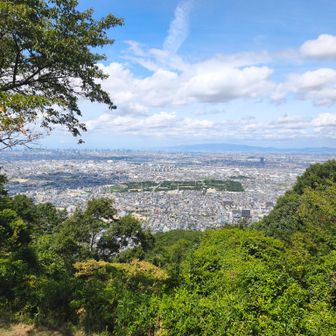 すごく空気が澄んでいてハッキリ見える景色
