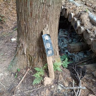 滝谷峠、南北に道があるけど、東への破線ルートは工事中っぽい
ここから貴船神社へは行けないようだ
南下して貴船山に行きます🚶