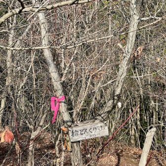 前どんぐり山を登ってないのに気が付かず…