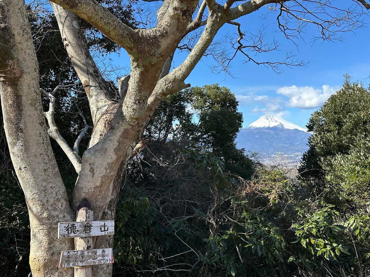 徳倉山256m