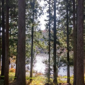 どこを歩いても美しくて大満足💯💖