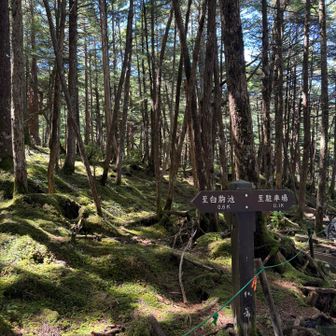 まずは白駒池へ