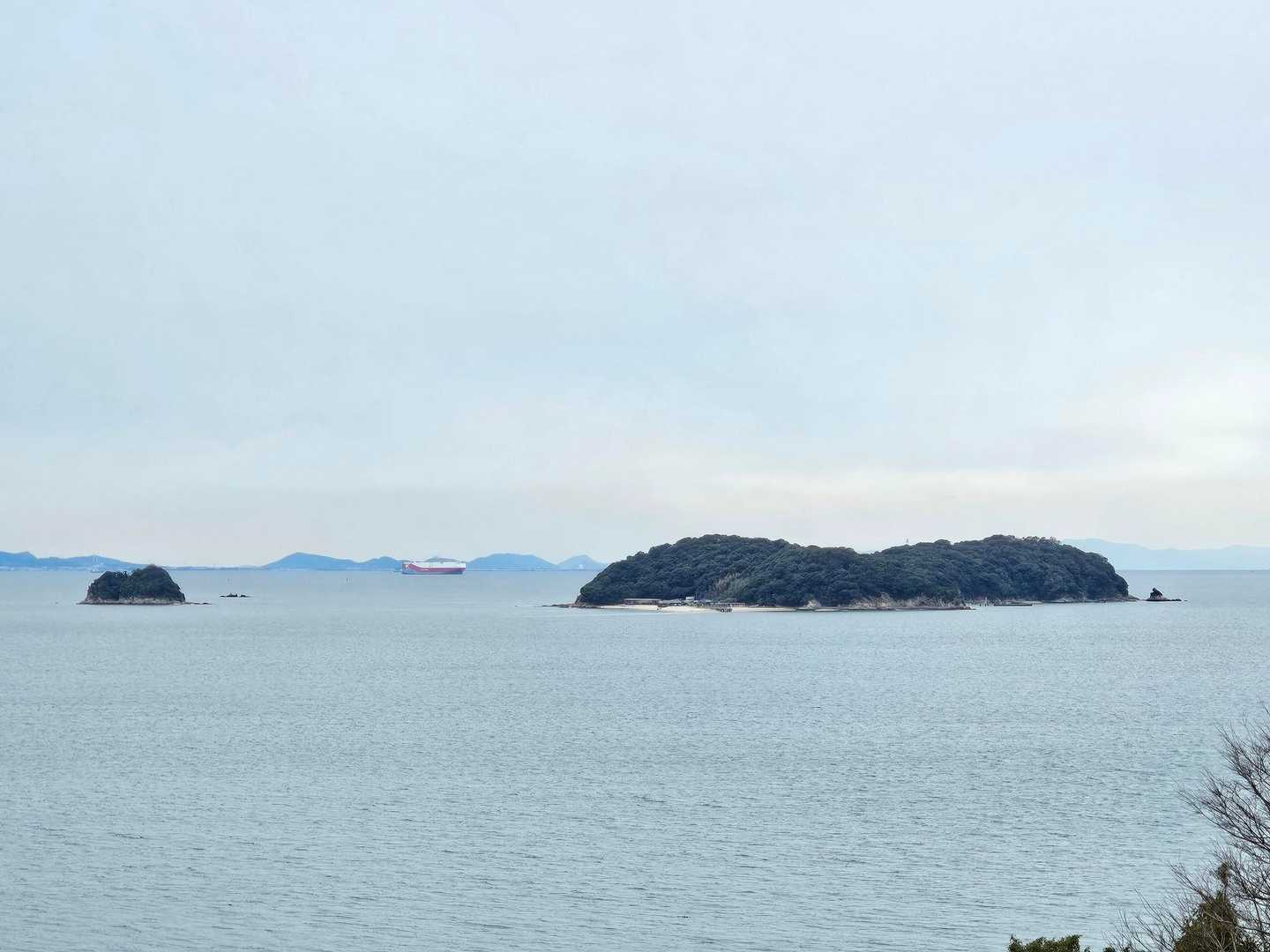 竹島もいい感じ🤗