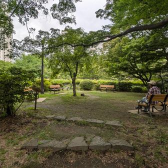 つつじ山
標高5m