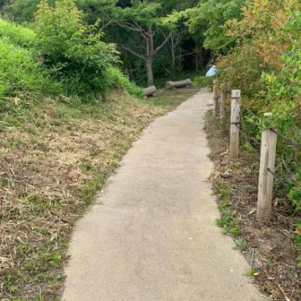 階段の後は、歩き🚶‍♀️易い道になってます