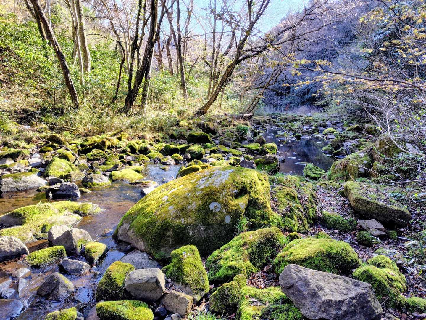 登山道沿いの沢