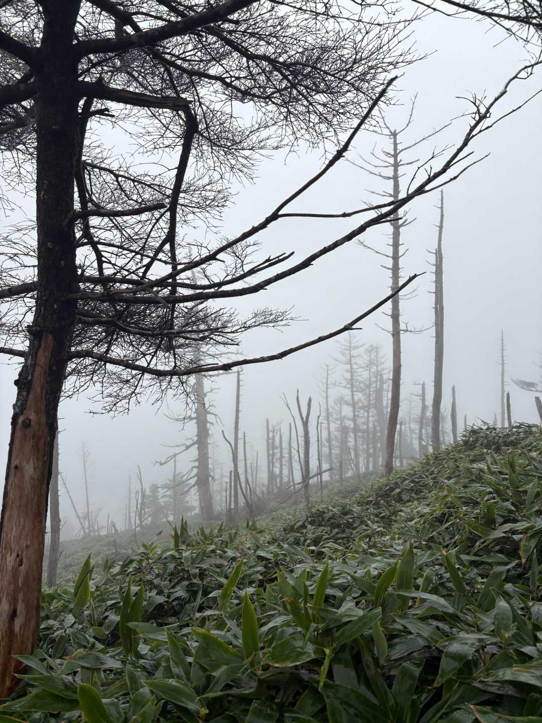 一ノ森-槍戸山 往復コースの写真