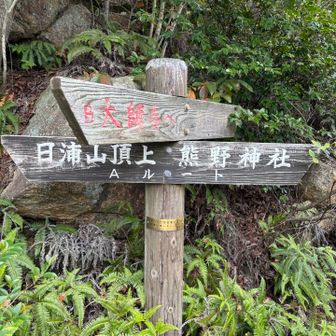 下山はA