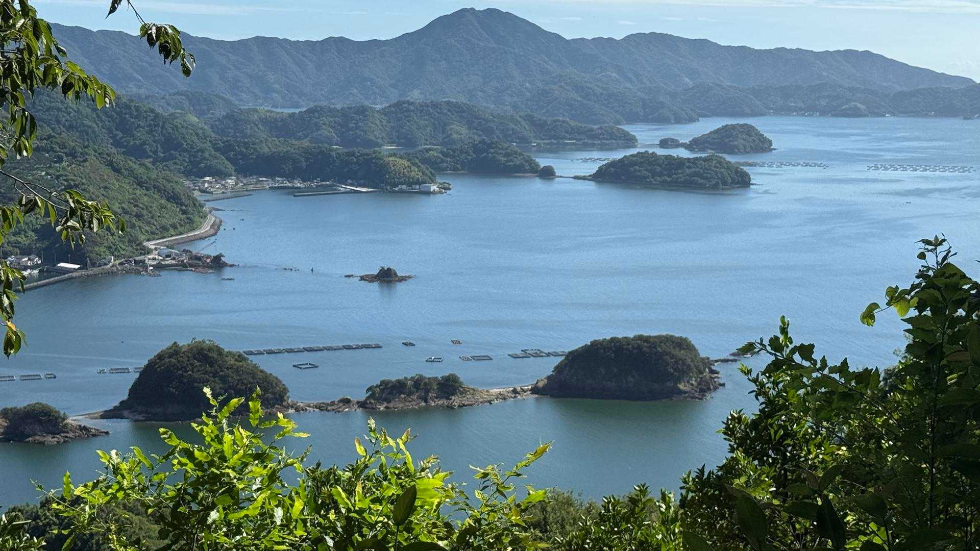 鳥屋ヶ森登山口-鳥屋ヶ森 往復コースの写真