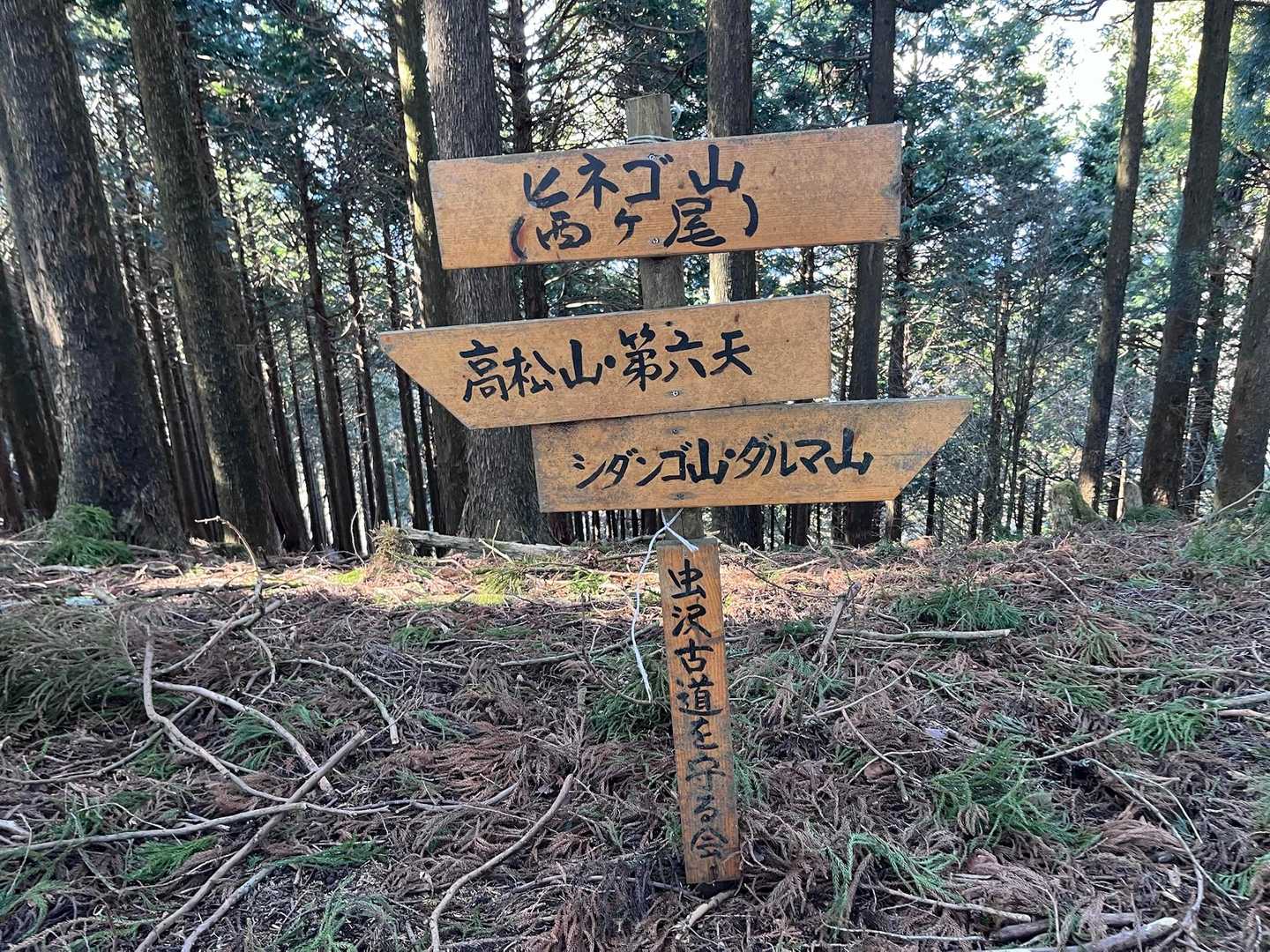 高松山入口バス停-ビリ堂-高松山-フトウ山-桜丸-ダルマ沢 縦走コースの写真
