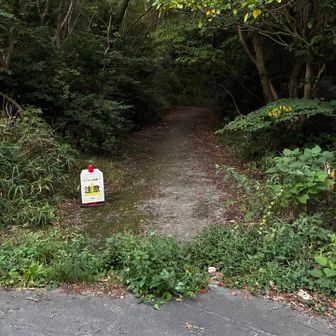 登山口です。１０メートルも進むと幅の狭い登山道になります。