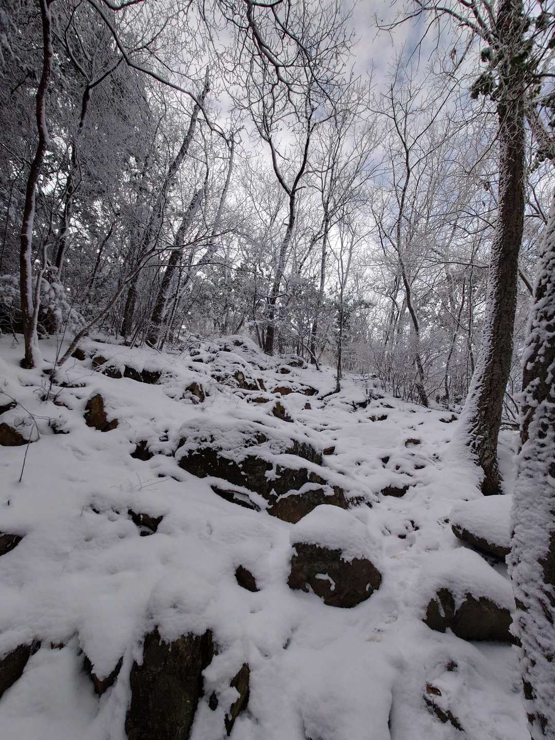 ラストの岩ゾーン。