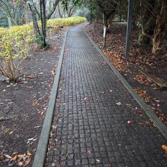 終始公園内のコース

雨だし誰もいないすね