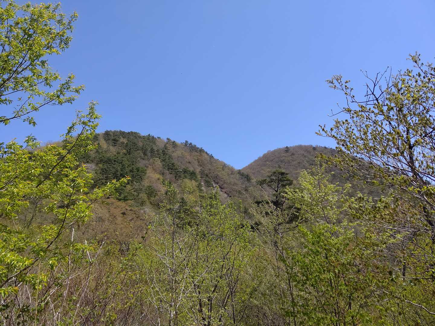 青麻山登山口-あけら山-青麻山 往復コースの写真