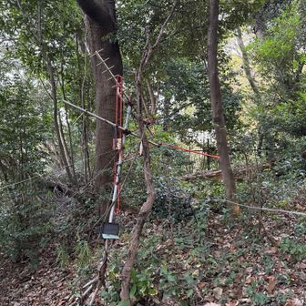 アンテナの残骸。