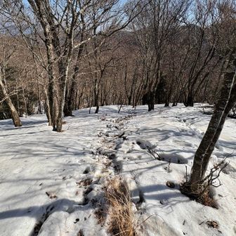 ここからすごく降るやん😱（平地に見えている💦）
赤ゾレ山から降りは雪深くなって、チェーンスパイク装着⛓️