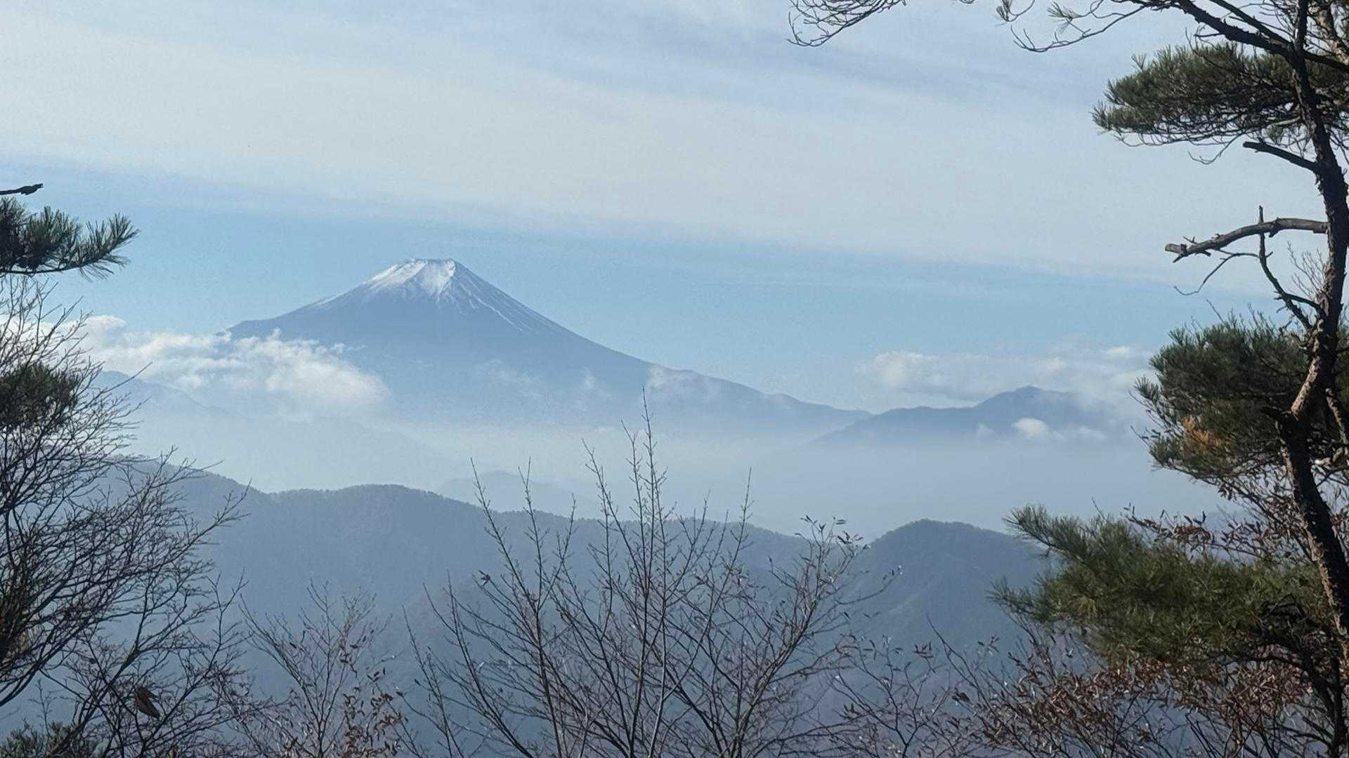 花と樹木、野鳥を愛でながら歩く、東京・奥多摩三頭山コースの写真
