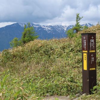 中尾峠

中尾ルートも趣があって良かった😌
これで主要3ルート制覇👍