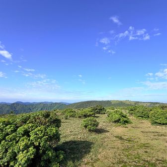 天気と相まって、最高🎶