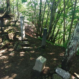 山頂は眺望なし。