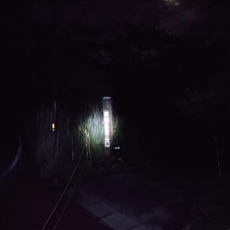 今日も一人で出発します🥹