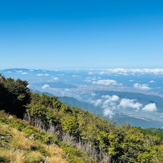 新居浜方面
雲海がGOOD