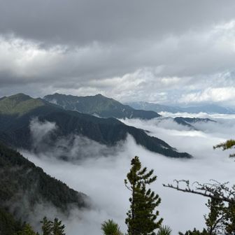 すばらしい景色！
手前から東沢岳、餓鬼岳、蓮華岳
燕岳は終始雲の中でした