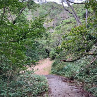 土樋割峠から川に向かって下ります。正面方向が破線の登山道、左に行くと七曲りに出ます。