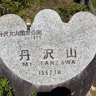 ウキウキな気分で到着💚
今回で10回目でした🎉
塔ノ岳ピストンから始まり
ここまで抵抗なく歩けるように👏