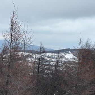 富士山が、あるはず🥹
