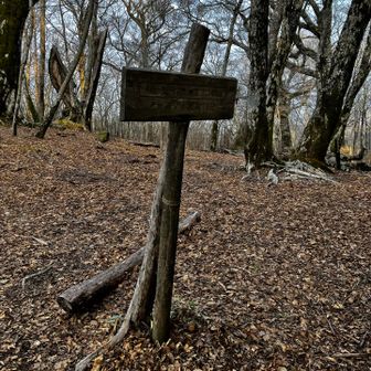 天狗👺のトーテムポールは山頂にあるんじゃなかったのね👀💦