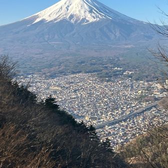 もちろん富士山もばっちり🗻
富士吉田の街並みもきれい✨
展望台もあり、ほんとに御殿のようでした。