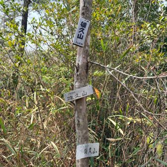 盤座ロータリーの奥に
雄久山🔺（６座目）、山頂標が３つ😅