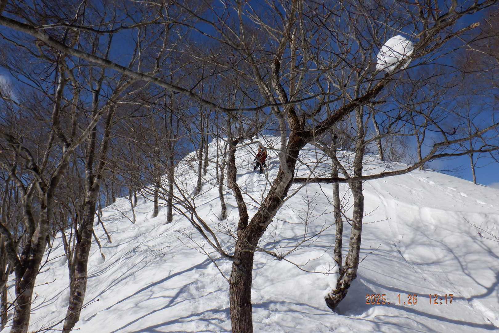 湧谷山