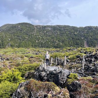 変更したルートは、坪庭から北横岳に登って亀甲池に下り、天祥寺原から大河原峠に向かうというものでした。
これで1時間ほどの時間の余裕が生まれます
