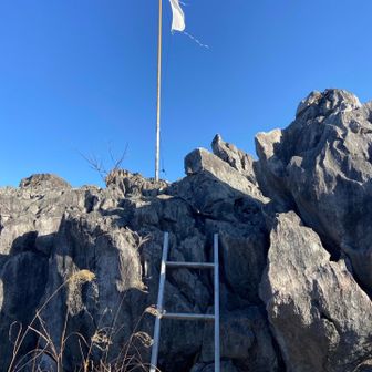 日の丸が白旗になってる