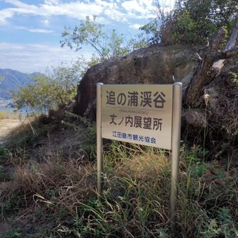 ここから降りますか