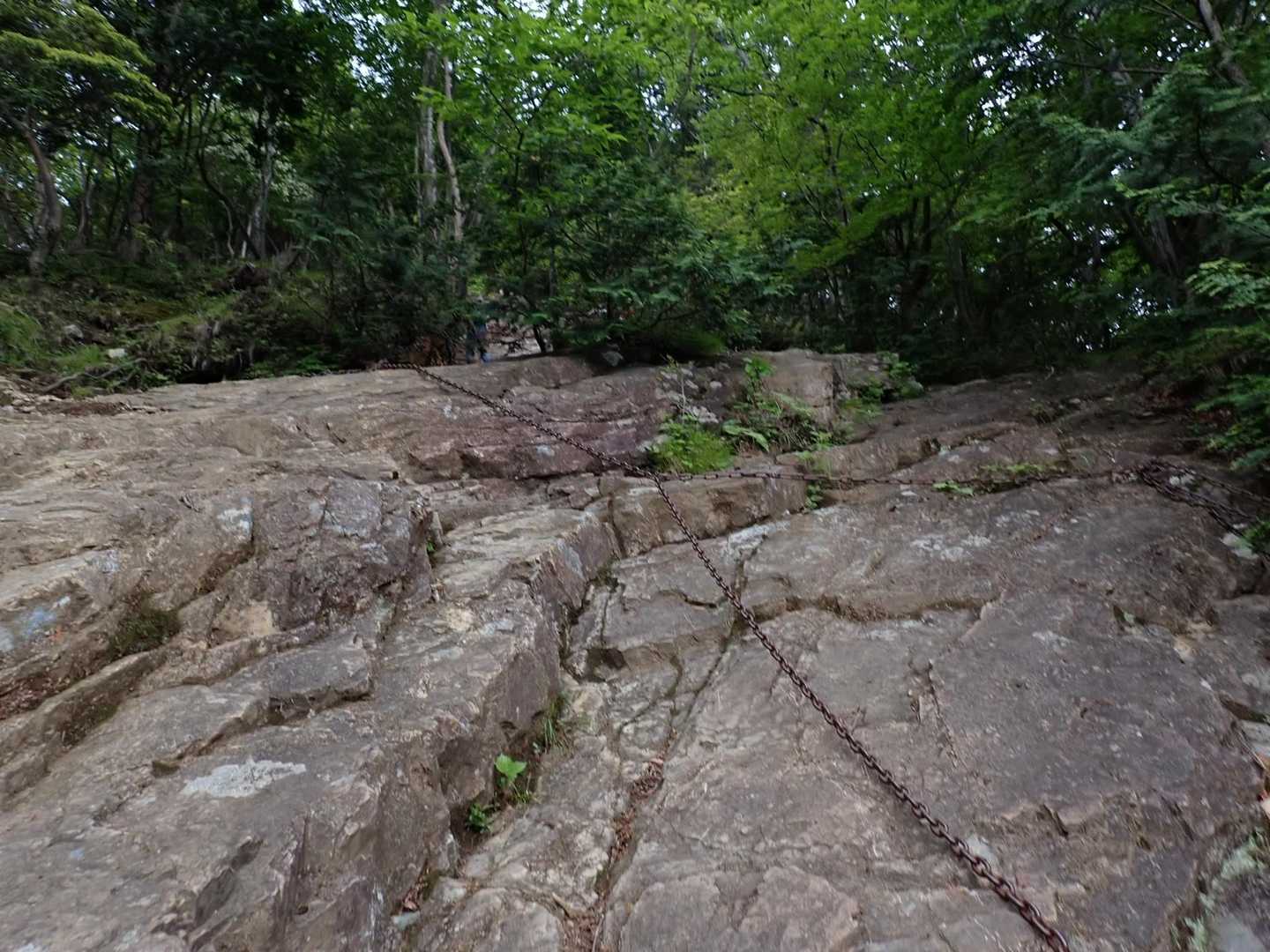 伊豆ヶ岳の男坂。…坂かこれ笑　