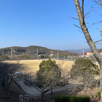 野球少年が頑張ってました。