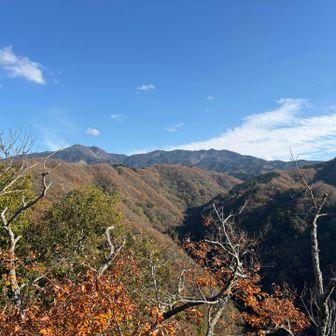 遠くに高縄山が見えます