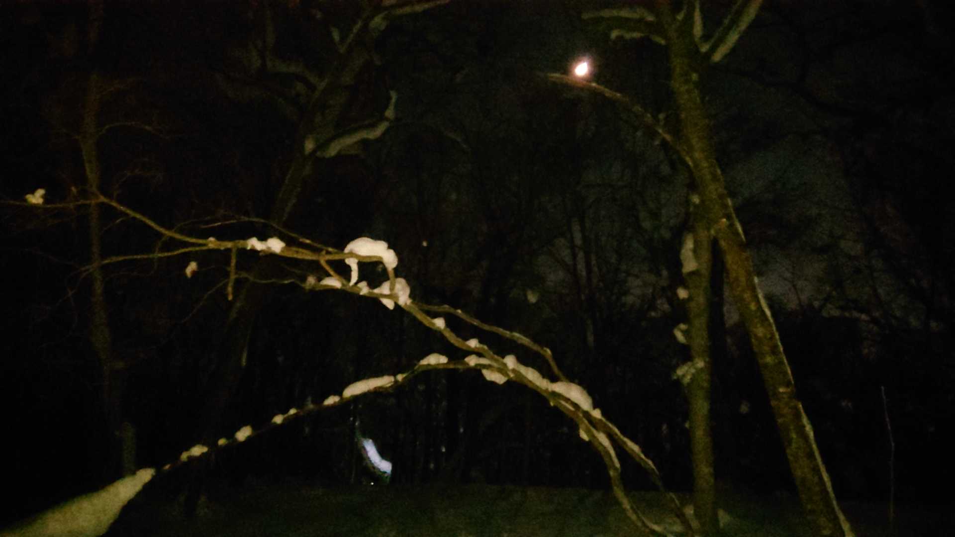 月、綺麗に写りませんね😅