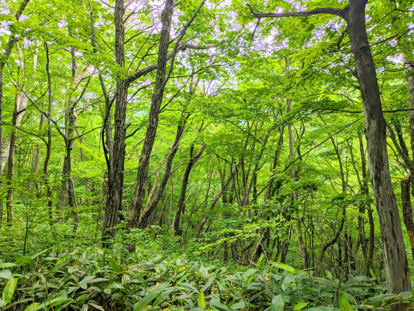 さてさて、下山しましょうか♪