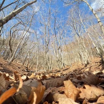 こんな感じもいいでしょ✨