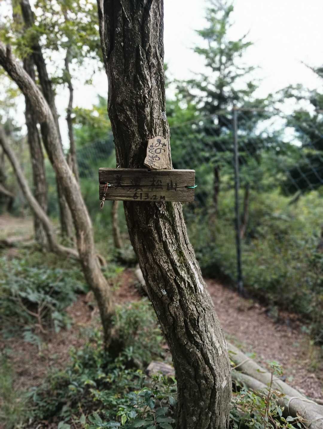 美濃松山登頂❗