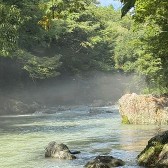 靄が幻想的🌫️