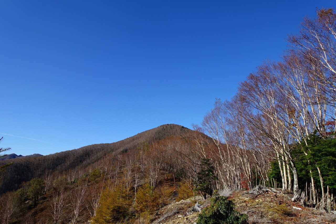 和名倉山（白石山）の写真