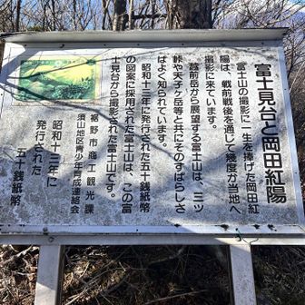 ええ？紙幣のモデル富士山にもなったのね。
へー！