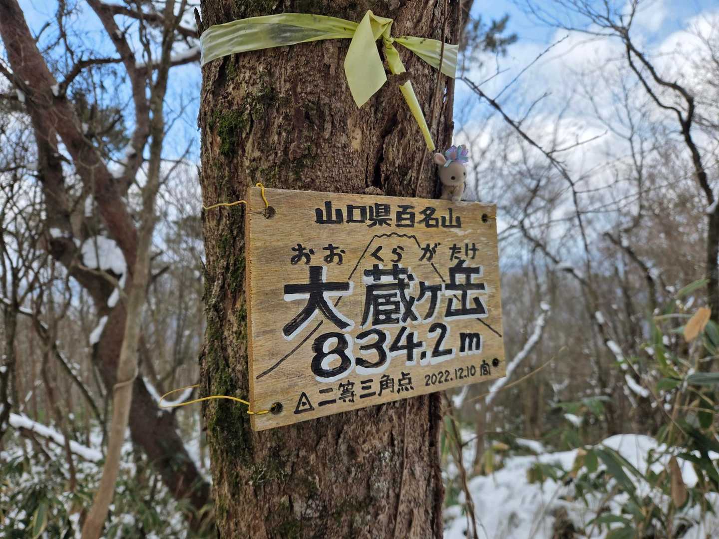 東の横綱大蔵ヶ岳登頂😄
身構え過ぎたのかダツヤ山と違って優しい感じでした😅
標高のゴロもやさしですね(笑)