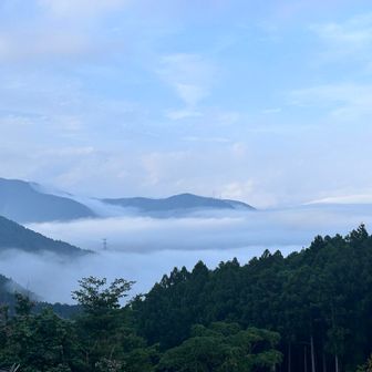 雲海！！